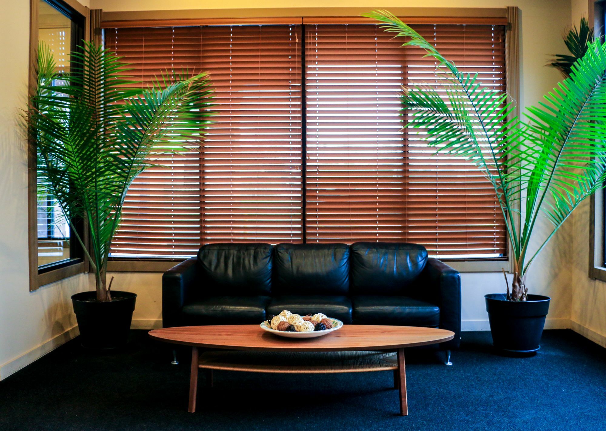 Mattoon Suite Dreams Hotel מראה חיצוני תמונה